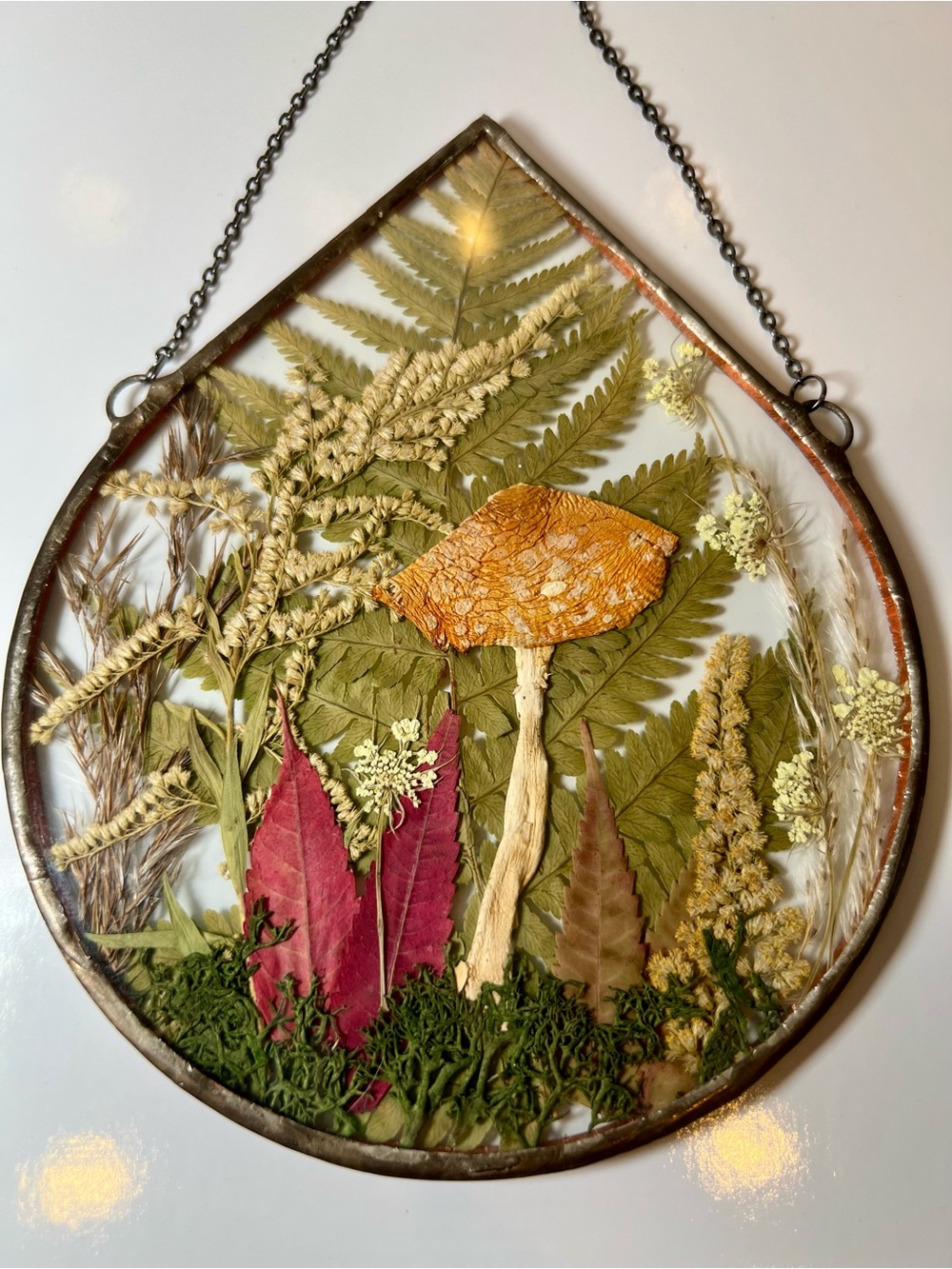 Stained glass frame, pressed flower frame, pressed plant frame Red Mushroom Fern